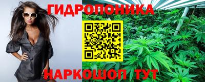 ГАЛЛЮЦИНОГЕННЫЕ ГРИБЫ Мариинск