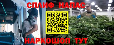 бошки Моздок