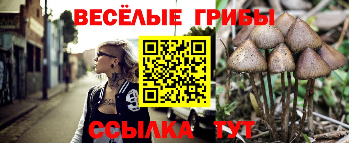 Псилоцибиновые грибы мицелий Воскресенск