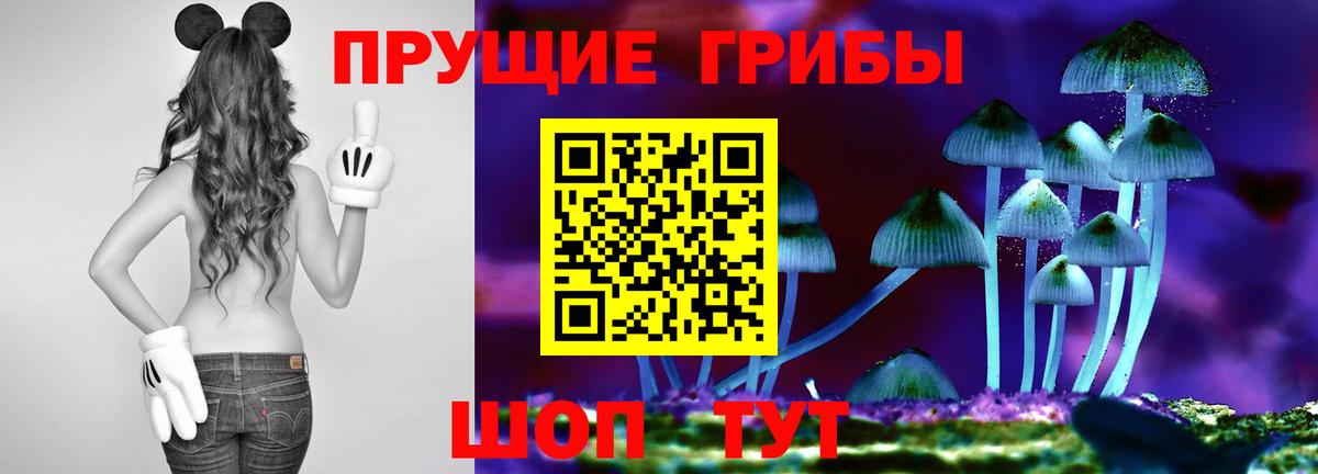 Воскресенск  наркота  Вход с VPN  Галлюциногенные грибы прущие грибы  Псилоцибиновые грибы Psilocybine cubensis 